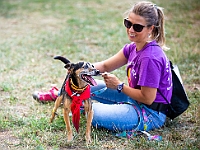 Adoptuj Warszawiaka  Wydarzenie promujące adopcję zwierząt. Organizator: Schronisko dla Bezdomnych Zwierząt "Na Paluchu". 18 sierpnia 2019, Park Raszyński w Raszynie. : park raszyński, adoptuj warszawiaka, na paluchu, schronisko dla zwierząt, centrum warszawy, raszyn
